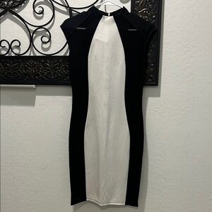 Fashion Nova Black and White Mini Dress